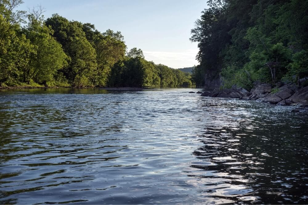 A calm river surrounded by lush greenery under a clear sky.